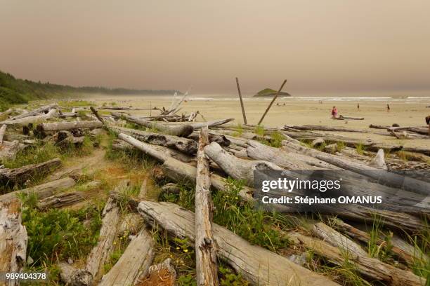 long beach, pacific rim national park, vancouver island, british columbia, canada - pacific rim stock-fotos und bilder