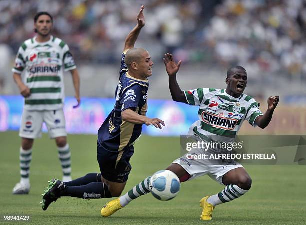 Pumas' Dario Veron vies for the ball with Santos' Carlos Darwin Quintero , during the second leg of their Mexican Bicentenario Tournament...