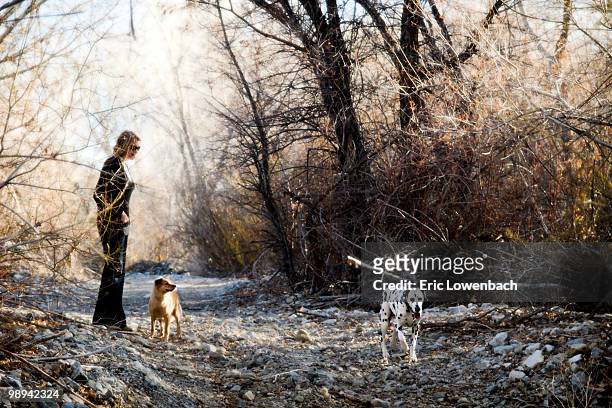hikers with dog - lowenbach - fotografias e filmes do acervo