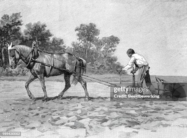 illustrazioni stock, clip art, cartoni animati e icone di tendenza di aratura contadina francese nel 1895 - aratro