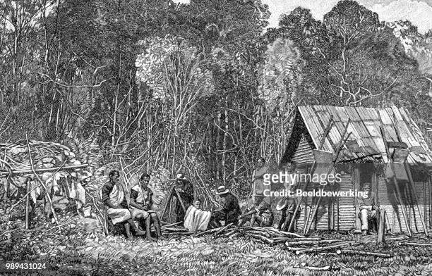 sänfte-träger im tolongainy camp in madagaskar 1895 - sedan stock-grafiken, -clipart, -cartoons und -symbole