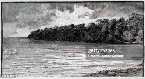 ilustraciones, imágenes clip art, dibujos animados e iconos de stock de costa de bosque de madagascar frente a la playa - calma antes de la tempestad