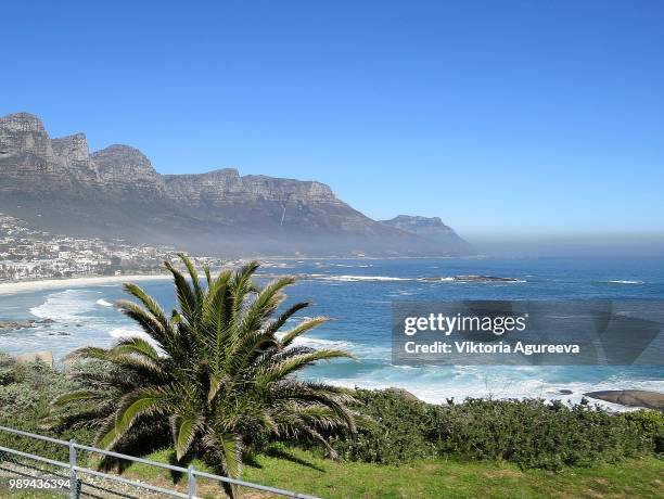 the solar ocean coast with palm trees - palm coast stock pictures, royalty-free photos & images