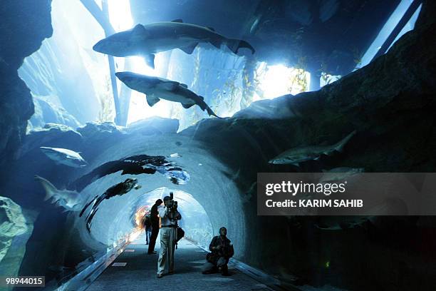 People enjoy the aquarium at the Dubai Mall, hours after its official opening in the oil-rich Gulf emirate on November 4, 2008. Shops were evacuated...