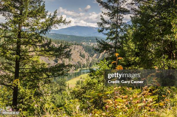 349 Kootenai Stock Photos, HighRes Pictures, and Images Getty Images
