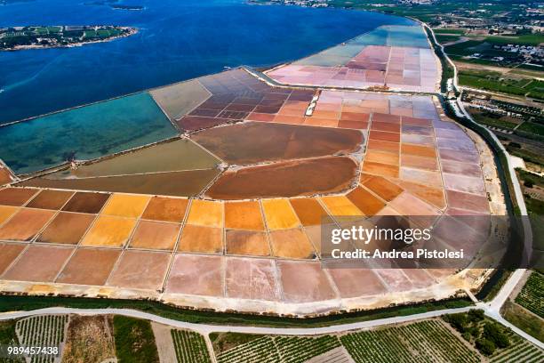 marsala salt ponds natural reserve, sicily, italy - salt flat 個照片及圖片檔