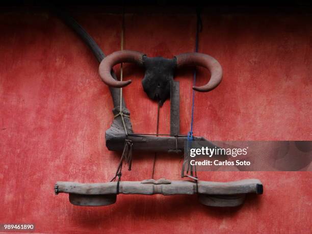 ojojona - yoke - yoke stock pictures, royalty-free photos & images