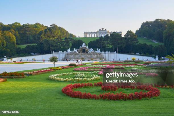 vienna,austria - vienna_austria stock pictures, royalty-free photos & images