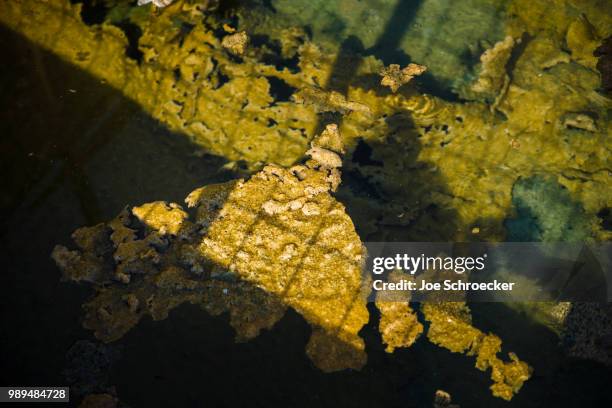 calcification in old greek basin - calcification stock-fotos und bilder