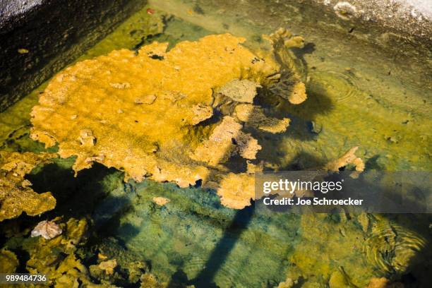 lime dritftin in old greek basin - joe 2013 film stock-fotos und bilder