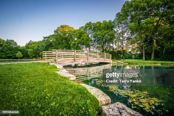 park of roses bridge - terry woods stock pictures, royalty-free photos & images