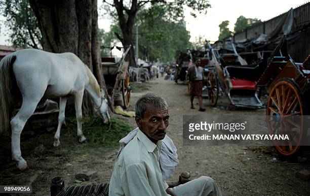 An Indian "tonga wallah" rests with his horse at a tonga stand in New Delhi on May 10, 2010. The Municipal Corporation of Delhi said May 10 that it...