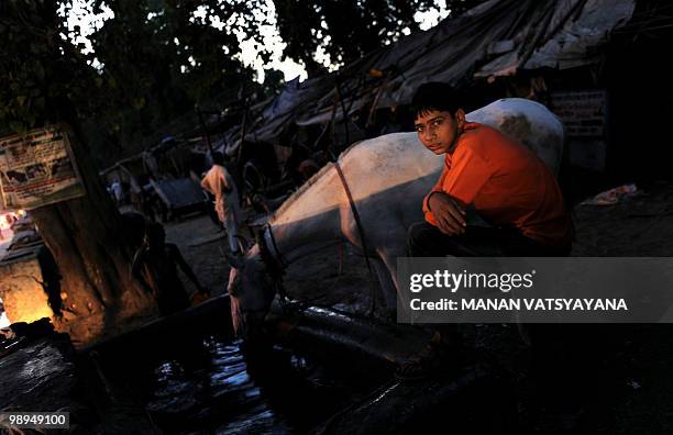 An Indian "tonga wallah" poses while his horse drinks from a trough at a tonga stand in New Delhi on May 10, 2010. The Municipal Corporation of Delhi...