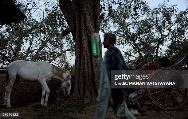 An Indian "tonga wallah" carries his drinking water during sunset at a tonga stand in New Delhi on May 10, 2010. The Municipal Corporation of Delhi...