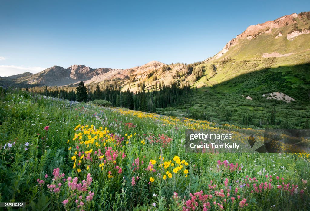 Park City,USA