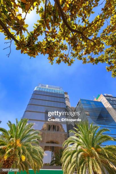 revolution monument in mexico city - constitucion stock pictures, royalty-free photos & images