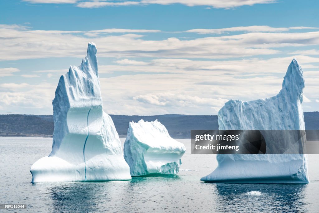 Iceberg on the Wolf Cove of Bonavista