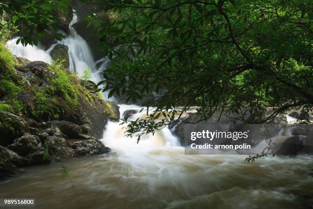 waterfall - arnoun stock pictures, royalty-free photos & images