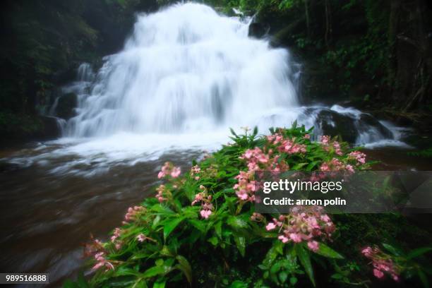 waterfall - arnoun stock pictures, royalty-free photos & images