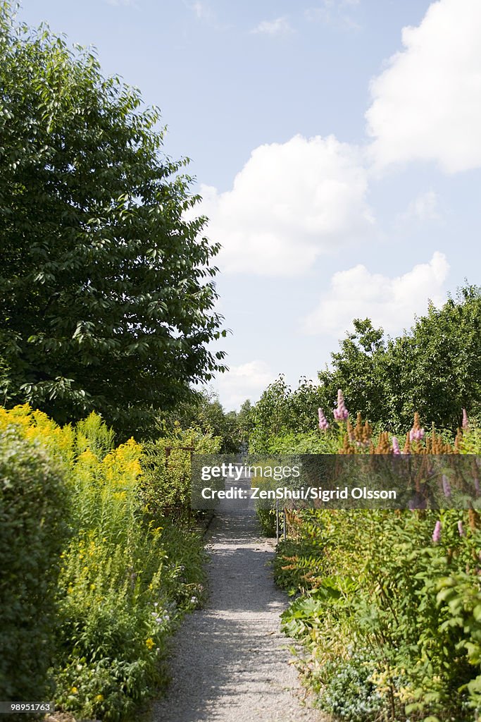 Gravel path leading through botanical garden