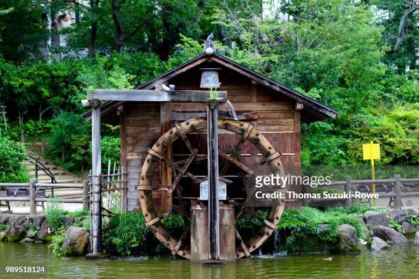 watermill at shoto park - waterrad stockfoto's en -beelden