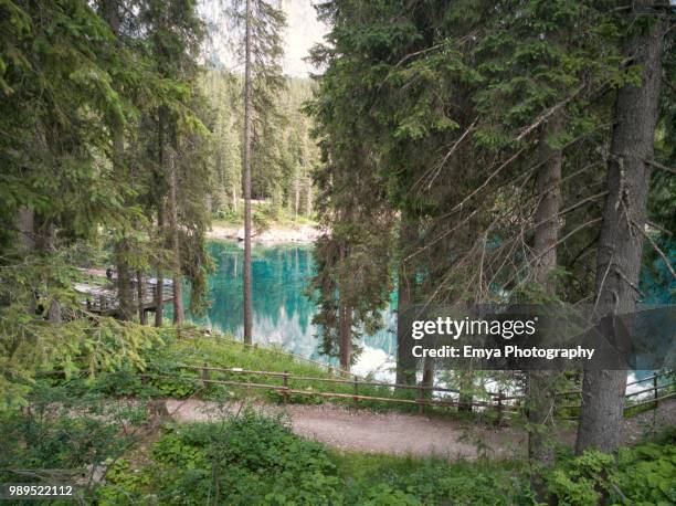 lake carezza and latemar, south tyrol, italy - gebirgskette latemar stock-fotos und bilder