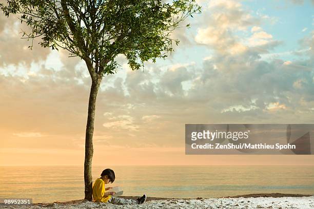 boy sitting beneath tree on beach reading book - six under ストックフォトと画像