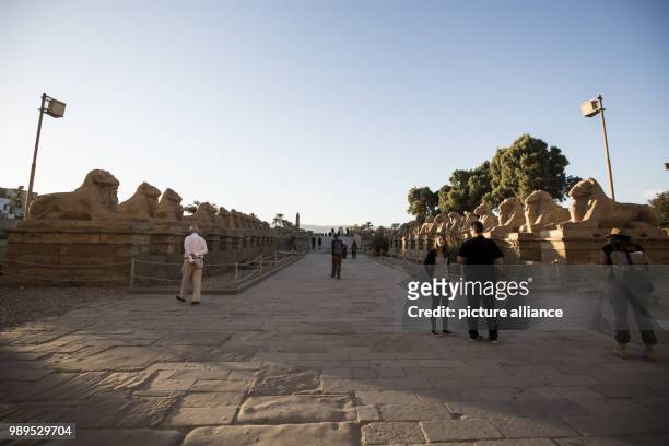 Picture issued on 24 December 2017, shows visiting the Alley of Sphinxes, known as the "Kebash Road", at the Karnak Temple, in Luxor, Upper Egypt, 08...