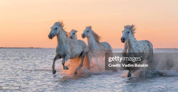 Solar Wind High-Res Stock Photo