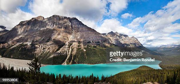 peyto lakea. a glacial lake in banff national park - benjamin rondel stock pictures, royalty-free photos & images