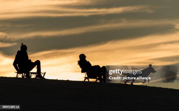 Dpatop - A couple with a dog going down a hill on sledges near Horben, Germany, 25 December 2017. Photo: Patrick Seeger/dpa