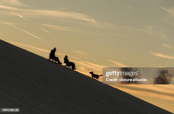 Couple with a dog make their way down a hill on sledges near Horben, Germany, 25 December 2017. Photo: Patrick Seeger/dpa