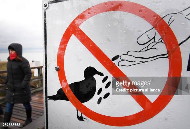 Sign forbidding the feeding of seagulls at the pier in Zinnowitz on the island of Usedom, Germany, 8 December 2017. Photo: Stefan Sauer/dpa