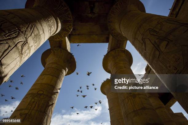 Picture provided on 28 December 2017 shows pigeons flying over the columns of the Ramesseum Temple, the memorial temple of Pharaoh Ramesses II, in...