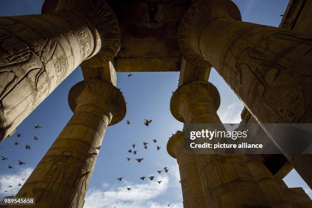 Dpatop - A picture provided on 28 December 2017 shows pigeons flying over the columns of the Ramesseum Temple, the memorial temple of Pharaoh...