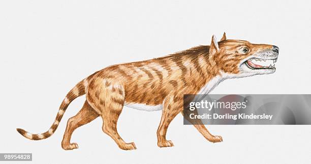 164 Oligocene Photos and Premium High Res Pictures - Getty Images 164 Oligocene Photos and Premium High Res Pictures - Getty Images