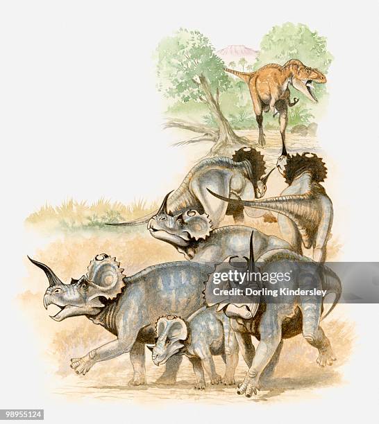 illustration of a group of centrosaurs running away from carnivorous albertosaurus - albertosaurus stock illustrations