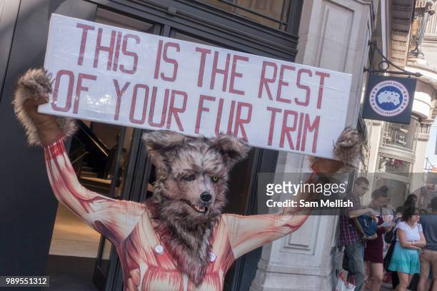Animal rights activists, dressed as a skinned fox, stage a demo outside Canada Goose store on Regents Street on 30th June 2018 in central London in...
