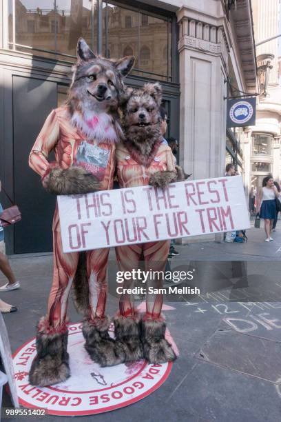 Animal rights activists, dressed as skinned foxes, stage a demo outside Canada Goose store on Regents Street on 30th June 2018 in central London in...