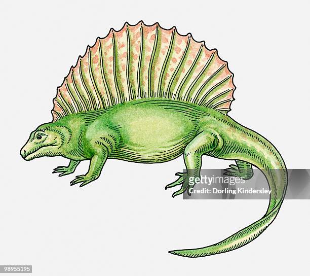 illustration of an epaphosaurus, sail-backed dinosaur from late carboniferous era - carboniferous stock illustrations