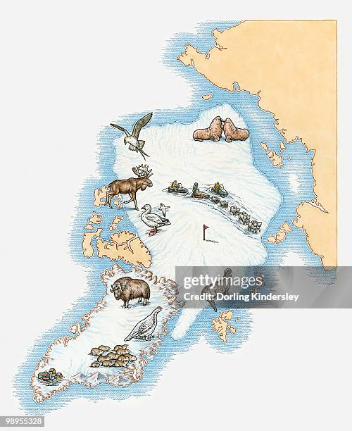 illustrated map of greenland - dorling kindersley stock illustrations