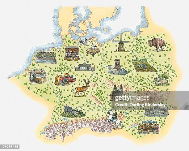 illustrated map of central europe, including germany, austria, hungary and poland - dorling kindersley stock illustrations