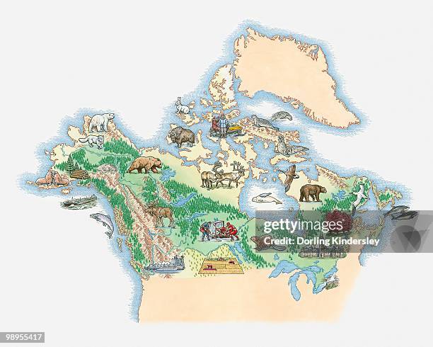 illustrated map of northern america including canada and alaska - dorling kindersley stock illustrations