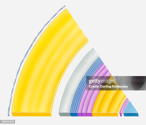 illustration of the rings of saturn - dorling kindersley stock-grafiken, -clipart, -cartoons und -symbole