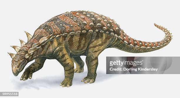 illustration of sauropelta dinosaur, side view - dorling kindersley stock-grafiken, -clipart, -cartoons und -symbole
