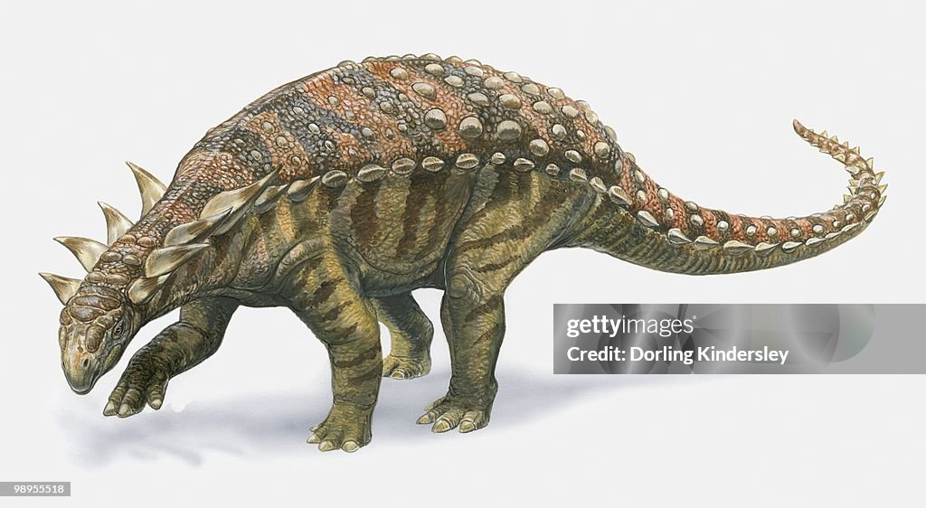 Illustration of Sauropelta dinosaur, side view