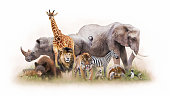Group of Zoo Animals Together Isolated