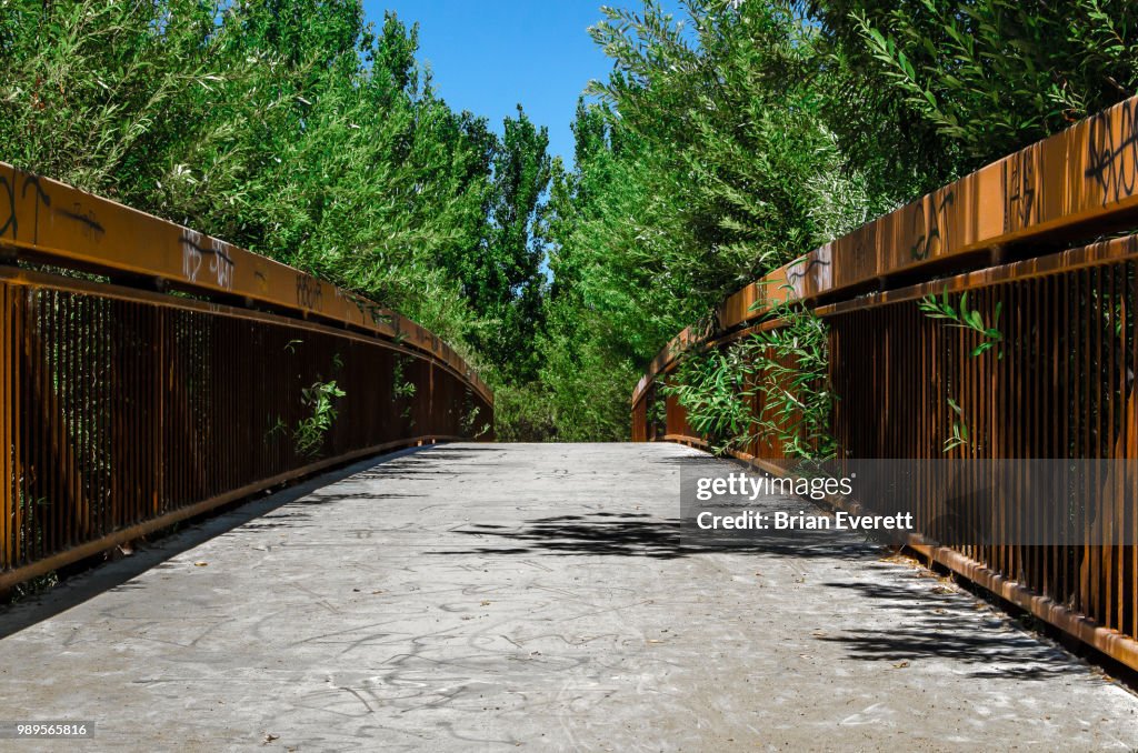 Bridge