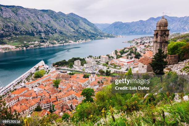 kotor old town and bay overview - boka stock pictures, royalty-free photos & images