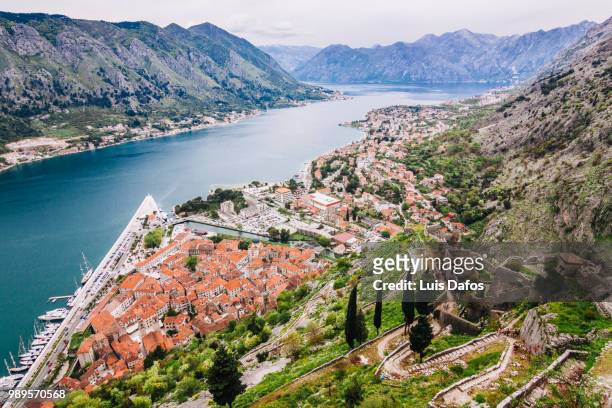 kotor old town and bay overview - boka stock pictures, royalty-free photos & images